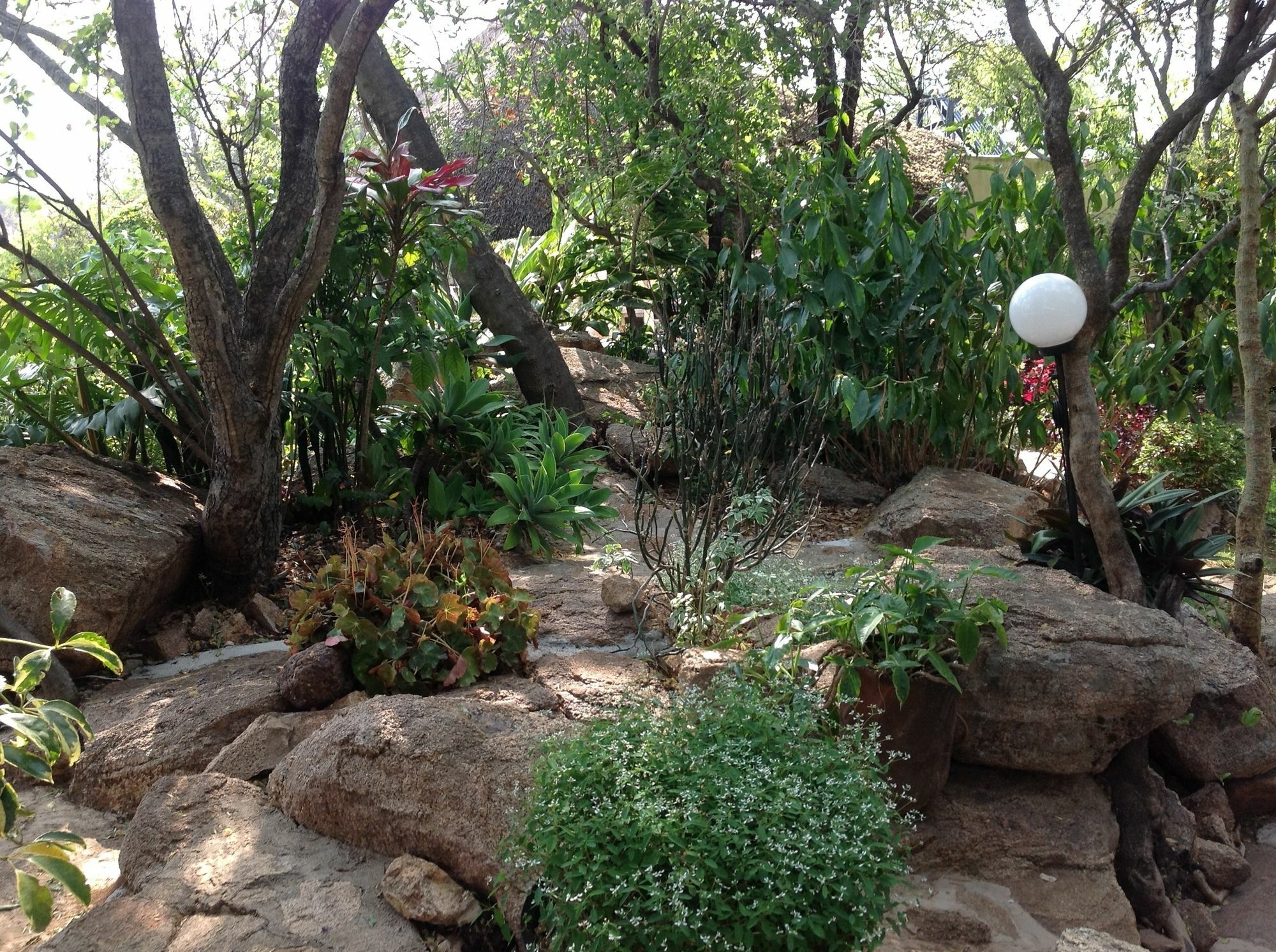 Lynns Guest House Bulawayo Extérieur photo